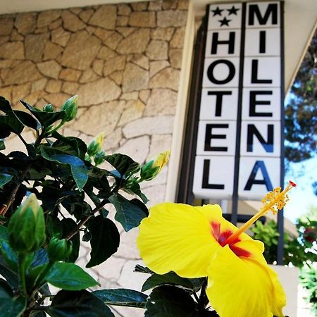 Hotel Milena ريميني المظهر الخارجي الصورة