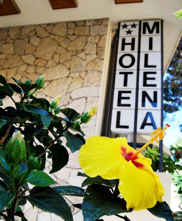 Hotel Milena ريميني المظهر الخارجي الصورة